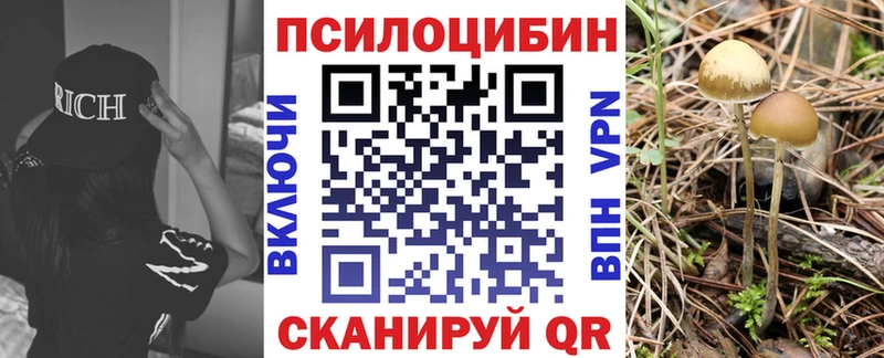Купить где  Заполярный  Псилоцибиновые грибы мухоморы 